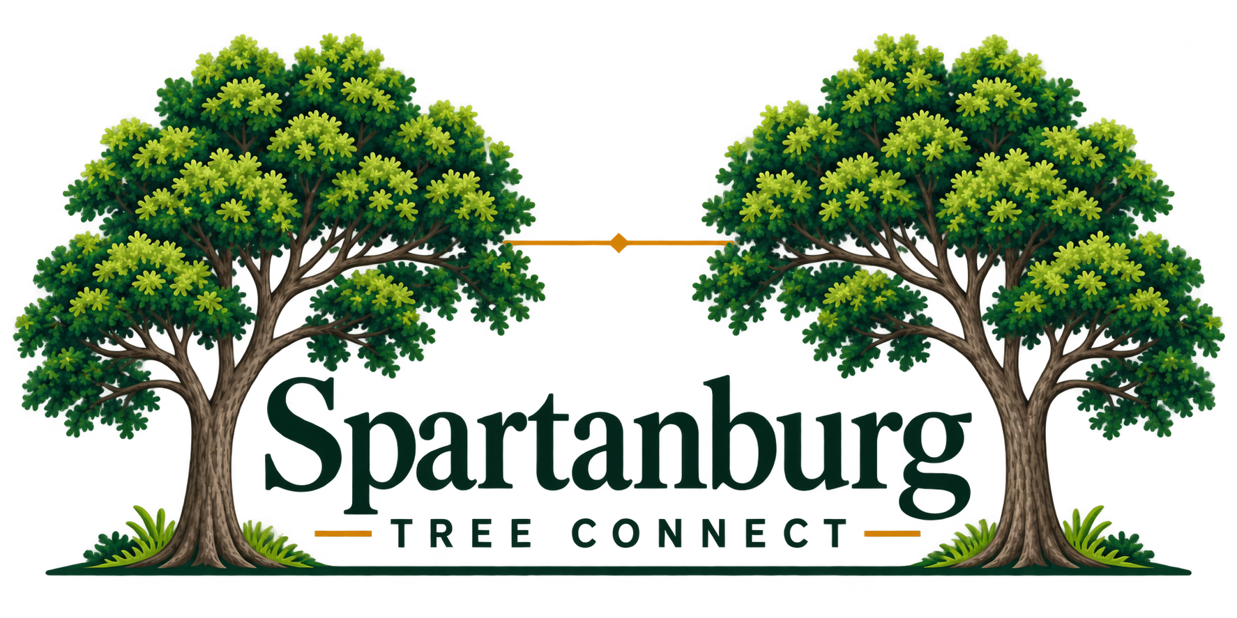 Spartanburg Tree Connect