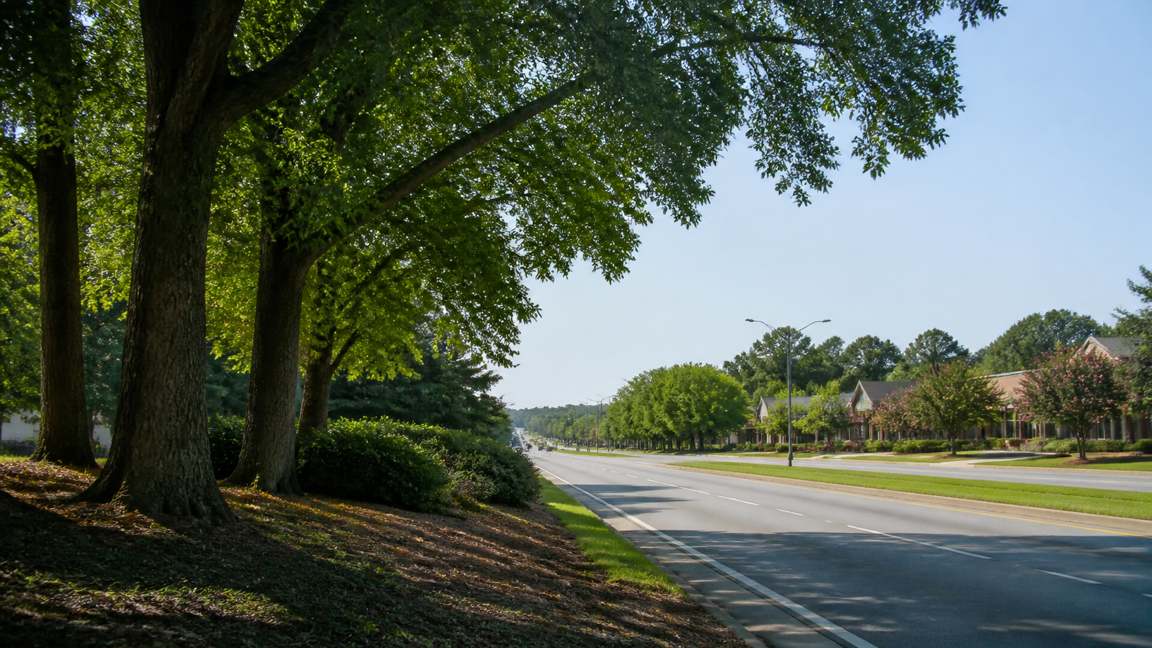 Illustrated tree-lined property setting representing Duncan, South Carolina